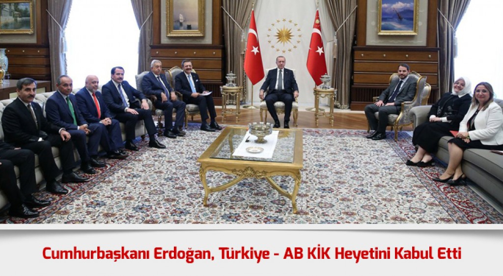 Cumhurbaşkanı Erdoğan, Türkiye - AB KİK Heyetini Kabul Etti