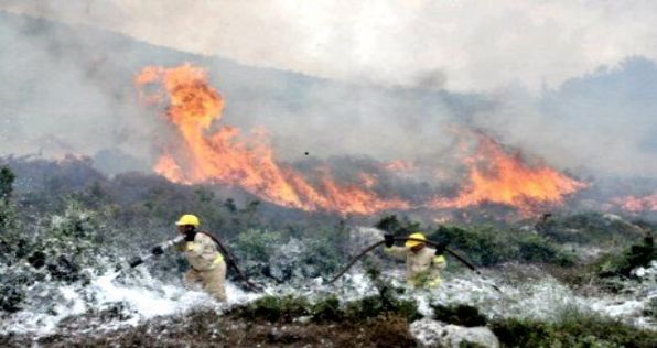 Orman Yangınlarıyla Mücadelede Fazla Mesai Ücreti Hakkında Açıklama
