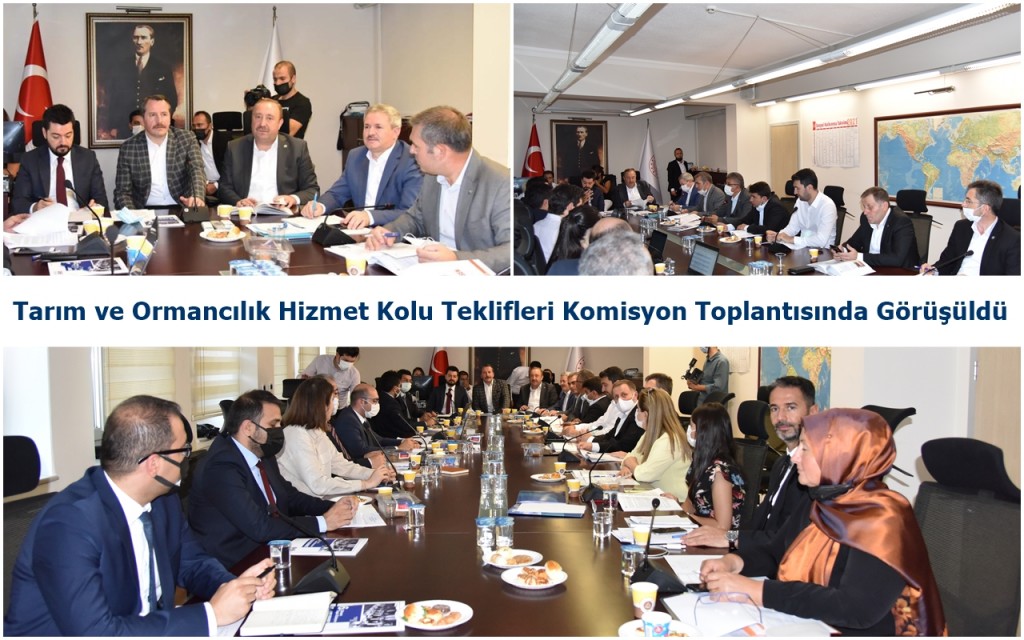 Tarım ve Ormancılık Hizmet Kolu Teklifleri Komisyon Toplantısında Görüşüldü