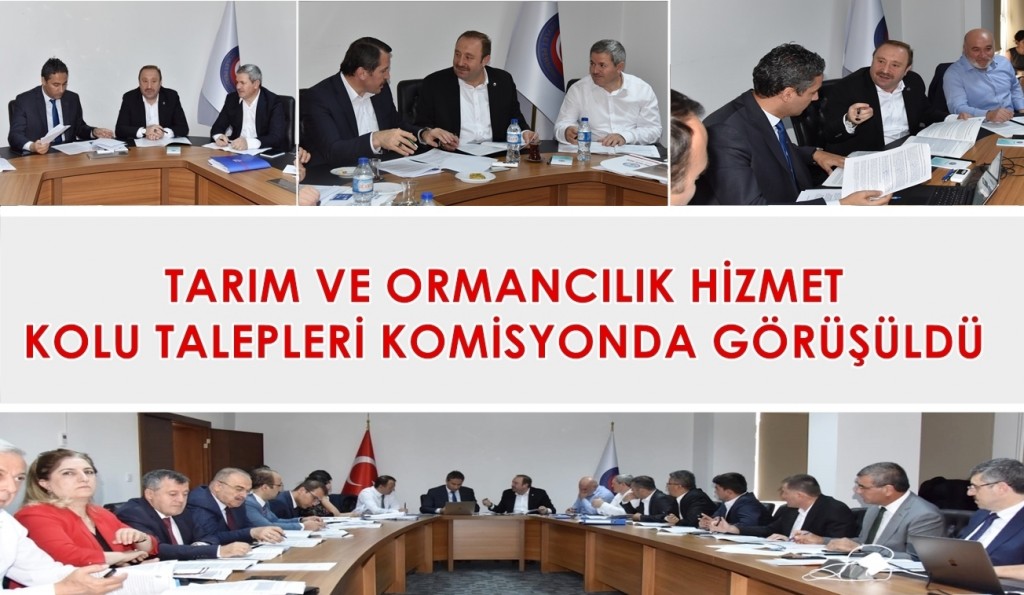 TARIM VE ORMANCILIK HİZMET KOLU TALEPLERİ KOMİSYONDA GÖRÜŞÜLDÜ