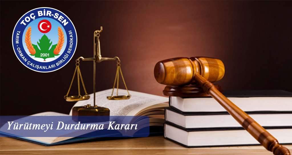 GTHB Rehb. ve Teftiş Bşk Yönetmeliği’nin Birçok Maddesiyle İlgili Yürütmenin Durdurulması Kararı