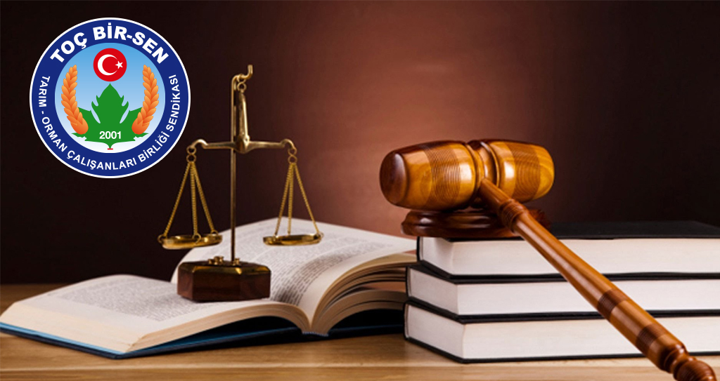 Soruşturmacı ve Disiplin Cezasını Veren Kişi Aynı Olamaz