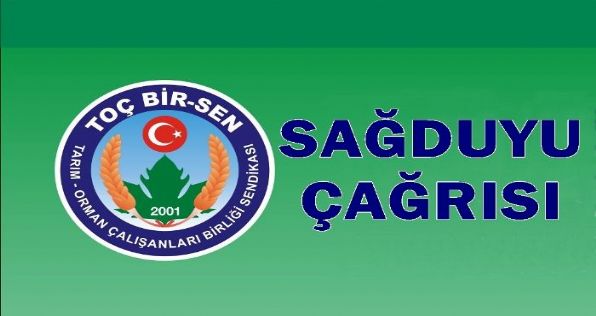 Sağduyu Çağrısı