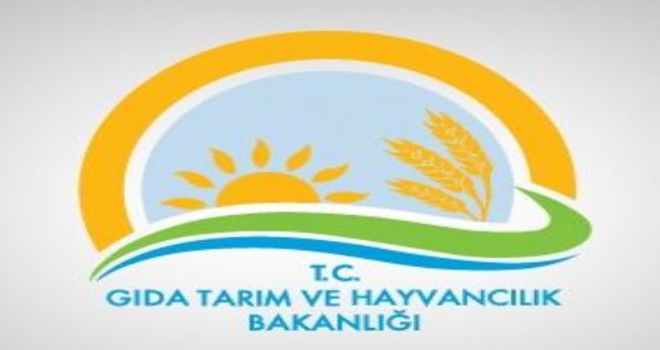 Tayin Değerlendirmeleri Sonuçlandı
