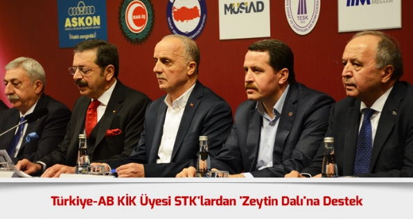 Türkiye-AB KİK Üyesi STK'lardan 'Zeytin Dalı'na Destek