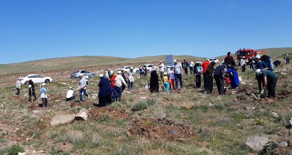 Kayseri’de M. Akif İnan Hatıra Ormanına Ağaç Dikim Etkinliği Düzenlendi