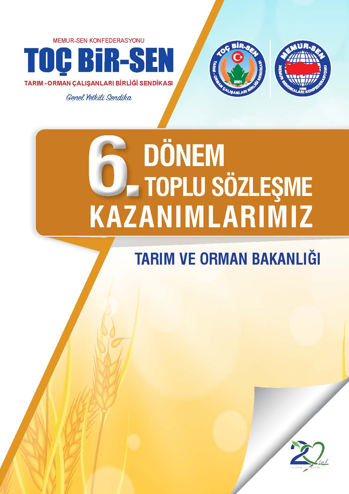 6. Dönem Toplu Sözleşme Kazanımlarımız