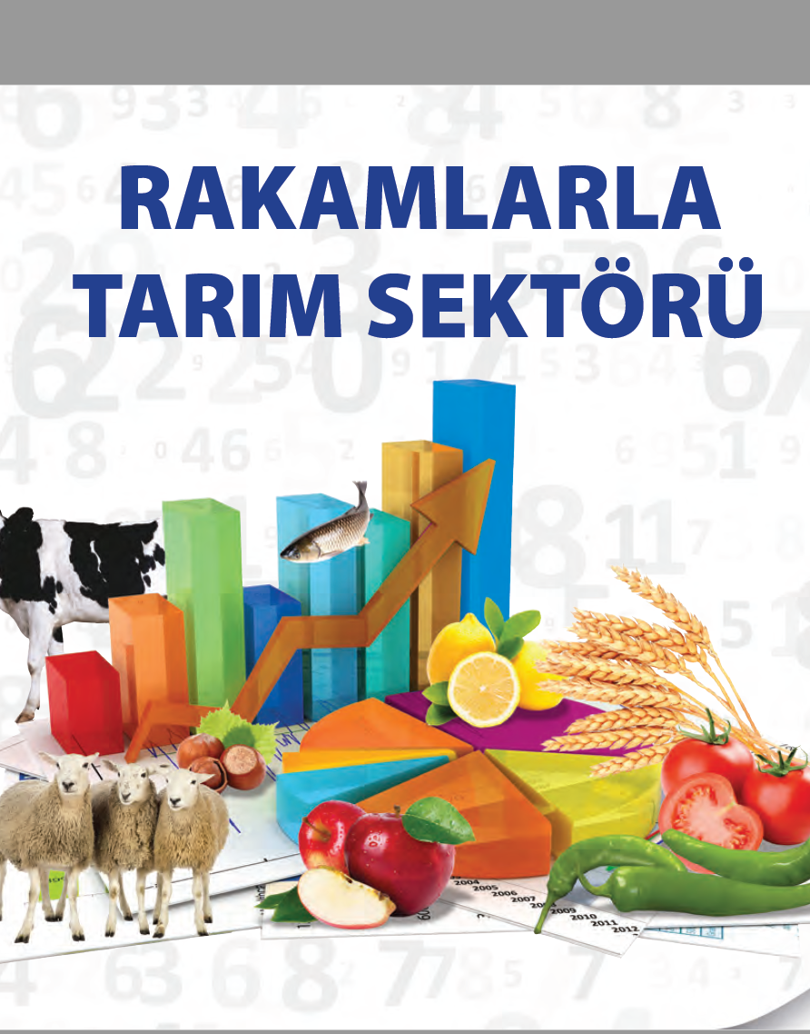 2019 RAKAMLARLA TARIM SEKTÖRÜ