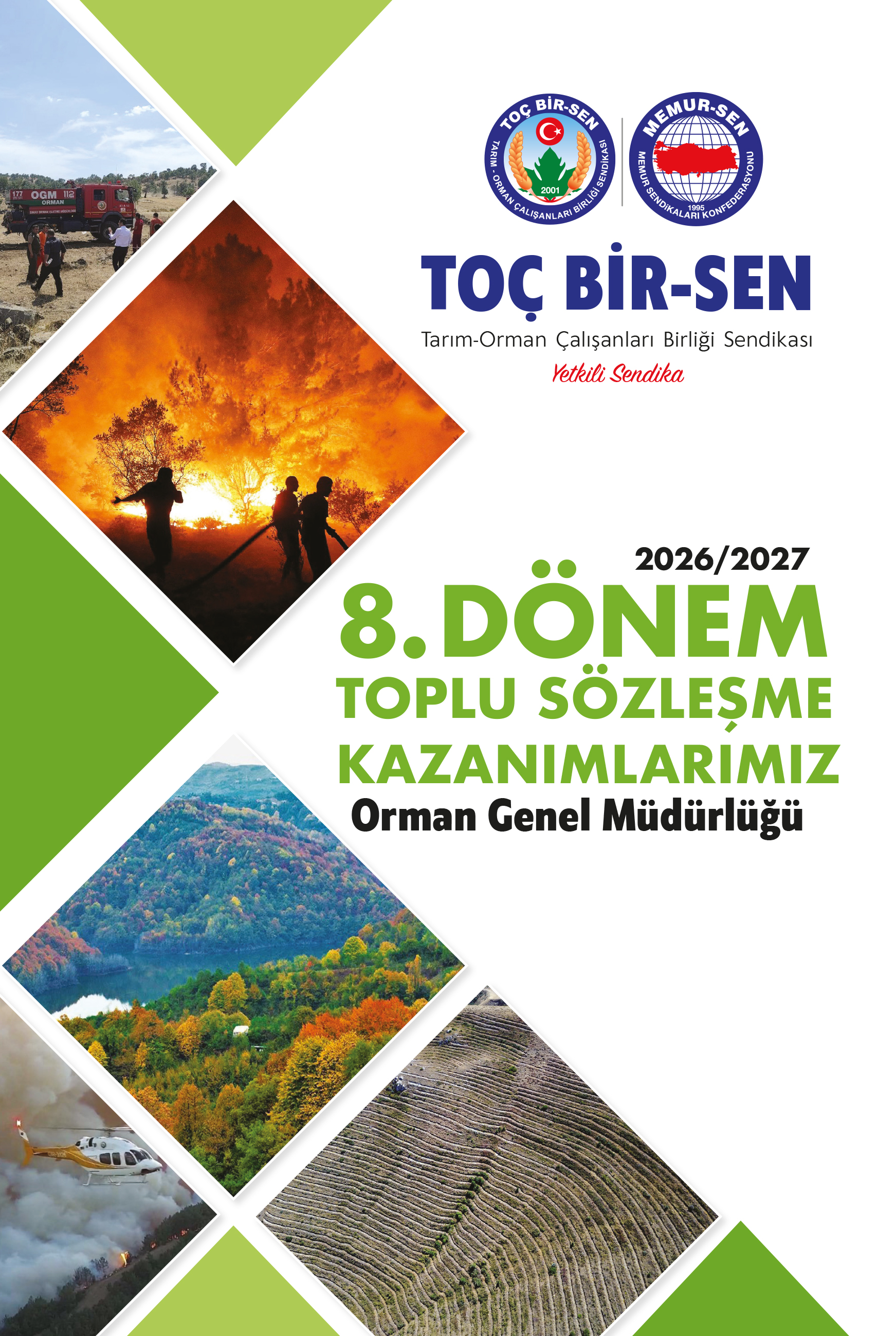 Orman Genel Müdürlüğü