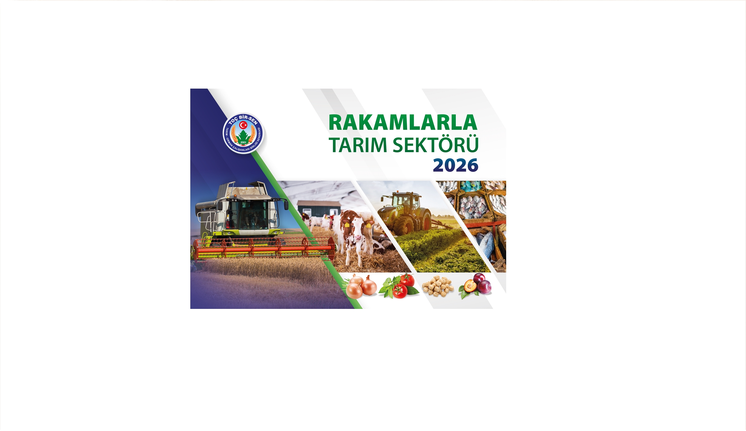 Rakamlarla Tarım Sektörü 2026